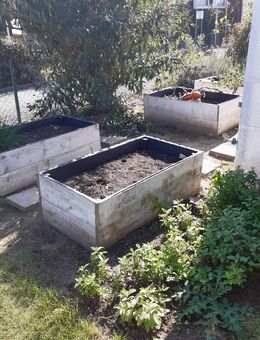Garten 300qm mit WC abzugeben - Dresden
