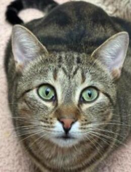 Masha wird immer übersehen - Ingolstadt