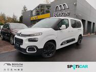 Citroën Berlingo, 1.5 Shine XL Blue-HDI, Jahr 2020 - Potsdam