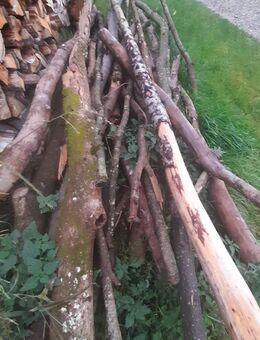 Brennholz, Astholz gemischt - Buttenwiesen