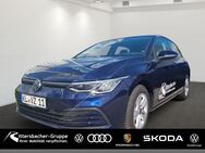 VW Golf VIII 2.0 TDI DSG Life Navi DAB+ - Grünstadt