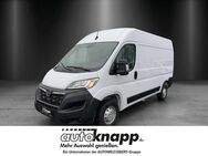 Opel Movano, 3.5 C Diesel 140 (t) L2H2 Edition, Jahr 2022 - Frankenthal (Pfalz)