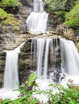 Kneipp Anwendungen/ Barfuß Wanderung - Hafenlohr