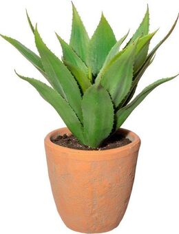 Künstliche Zimmerpflanze Agave im Terracottatopf Sukkulente, Creativ green, Höhe 40 cm