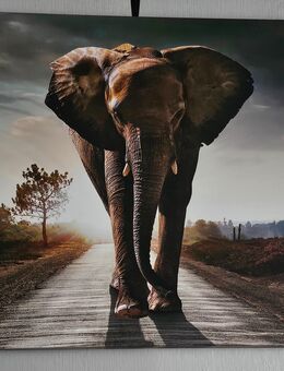 Leinwandbild - Rathenow