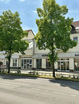 Perfektes Investment im Herzen von Senftenberg - Senftenberg