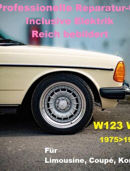 Mercedes W123 123 E-Klasse WIS - Werkstatt Reparatur Service CD Werkstatthandbuch - Bad Heilbrunn