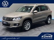 VW Tiguan, 2.0 TDI |, Jahr 2014 - Torgau