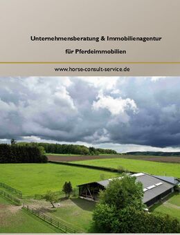 Alleinlage - Exklusive und hochwertige kleinere Reitanlage mit luxuriösem Wohnhaus - Braunfels