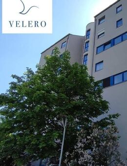 1- Zimmerwohnung mit Balkon- neu renoviert! - Riesa