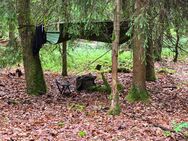 Suche coole Frau - Weiden (Oberpfalz)