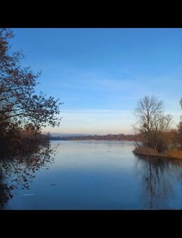 Sie sucht sie für das gewisse Etwas - Kassel Fasanenhof