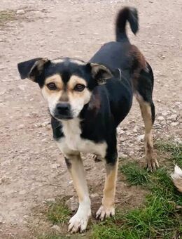 Wer hat das schönste Lächeln - Smile 😊 - Overath