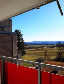Praktische Wohnung mit herrlichen Panoramablick ! - Starzach
