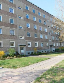 WBG - #Wir lieben die Platte# - Brandenburg (Havel)