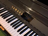 Wohlklingendes Yamaha U1 Klavier zu verkaufen - Hamburg