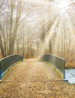 Rarität: Einfamilienhaus am Englischen Garten zur späteren Eigennutzung - Verkauf mit Nießbrauch - - München
