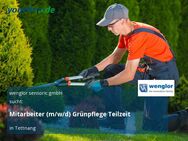 Mitarbeiter (m/w/d) Grünpflege Teilzeit - Tettnang