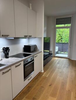 Helle Neubau 3-Zimmer-Wohnung mit Echtholzparkett, Einbauküche, großem Balkon und TG-Stellplatz - Amberg