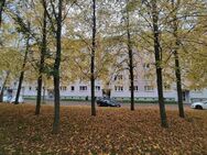 Dreiraumwohnung zum unschlagbaren Mietpreis - Sangerhausen