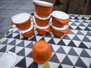 TUPPERWARE P11 COMBI-PLUS KLEINE RÜHRSCHÜSSEL 650 ML ORANGE SONDERFARBE - Sengenthal