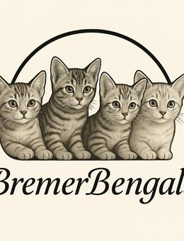 Bengal-Kitten - Bremen