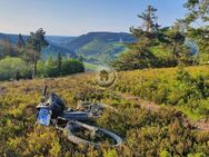 3 volle Tage = BIKEPARK "THE MOTHER" - Winterberg / "MTB ZONE" Willingen - "Green Hill" ... - Ferienappartement für 2 - (IP 1 PP 22) - Medebach (Hansestadt)