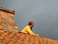 Gartenhäuser Dachfenster Holzfußboden Holzterrassen Baumhäuser Dachbodenausbau Gauben Reparaturen - Ottendorf (Schleswig-Holstein)