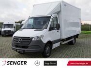 Mercedes Sprinter, 516 Koffer L3, Jahr 2020 - Wietmarschen