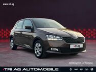 Skoda Fabia, 1.0 TSI Ambition OPF, Jahr 2021 - Birkenfeld (Baden-Württemberg)