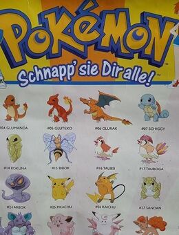 Großes, altes Pokemon- Poster XXL für Sammler - selten „Schnapp sie dir alle“ - Niederfischbach