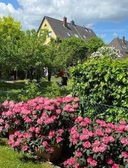 Wohnhaus mit großem Garten, zwei Küchen & zwei Bädern !!! - Sehnde