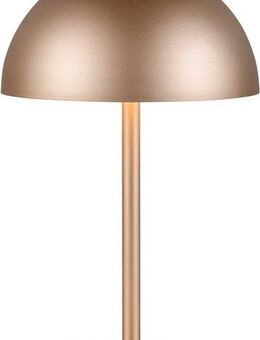 Reality Leuchten LED Tischleuchte MUNOZ, Akku Tischleuchte mit Touchdimmer + USB Anschluss, IP20 indoor, Dimmfunktion, USB-Ladefunktion, mehrere Helligkeitsstufen, LED fest integriert, Warmweiß, bis zu 10h Akkulaufzeit, laden per USB max 7-9h, Akku...