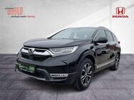 Honda CR-V 1.5 Turbo Lifestyle 7-Sitzer Leder Autom. - Augsburg