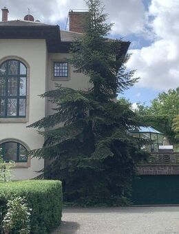 Außergewöhnliche Gründerzeit-Villa - Waldheim