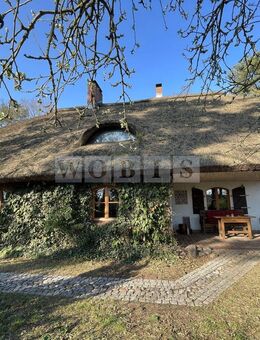 Reetdach-Idyll am Oderhaff - Ruhe und Natur pur - PROVISIONSFREI - Leopoldshagen