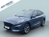 Ford Kuga 2.5 Duratec PHEV ST-LINE X - Worms