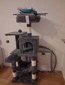 Nagelneuen kratzbaum in 58095