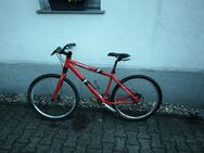 MTB von Cannondale 26'Zoll - Gladbeck