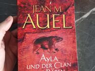 Erdenkinderzyklus 1-6 von Jean M. Auel (Ayla) - Nürnberg