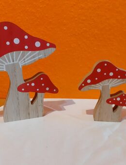 %% ... 2 er Set Herbst Deko Holz Pilze Rot Weiß Braun - Rheinbach