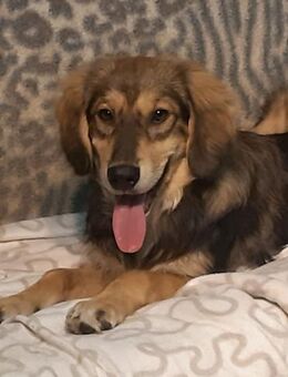 Jonny - Mönchengladbach