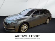 Skoda Octavia, 1.5 TSI mHEV Selection, Jahr 2024 - Heidelberg