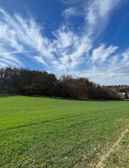 "Wohnen in sonniger Randlage mit Blick in die Natur" Moderne DHH in Weissach - Weissach