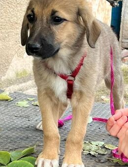 Friederike ein kleiner süßer Schatz ... - Berlin