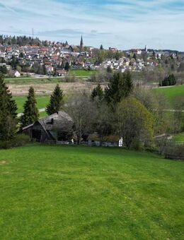 Modernisiertes Bauernhaus mit Pferdestall - Sankt Georgen (Schwarzwald)