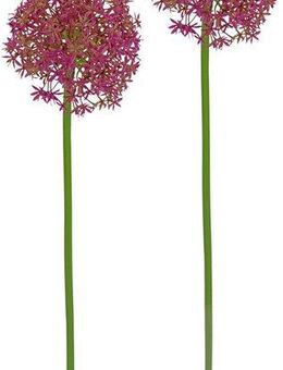 Kunstblume Allium Zierlauch, I.GE.A., Höhe 80 cm, Stielblume künstliche Blumen, 2er Set