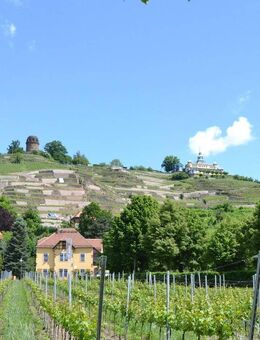 ansprechende 2-Raumwohnung mit Balkon & Garage in Radebeul-West zum Kauf - Radebeul