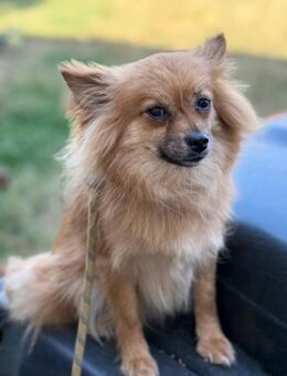 Ich heiße Sweet-Pea .... - Frankfurt (Main)