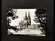 Postkarte-Köln am Rhein. Rheinufer mit Dom -ungelaufen. - Nörvenich